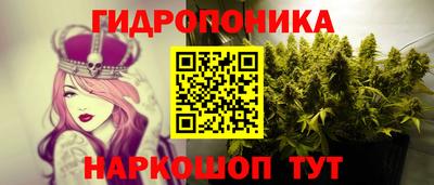 мдпв Обнинск