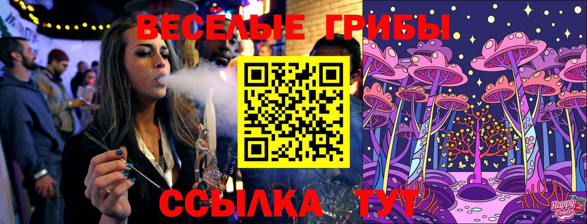 Псилоцибиновые грибы MAGIC MUSHROOMS  Вход с VPN  Углич  Псилоцибиновые грибы Psilocybine cubensis 