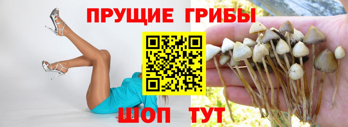 Бошки Шишки Углич
