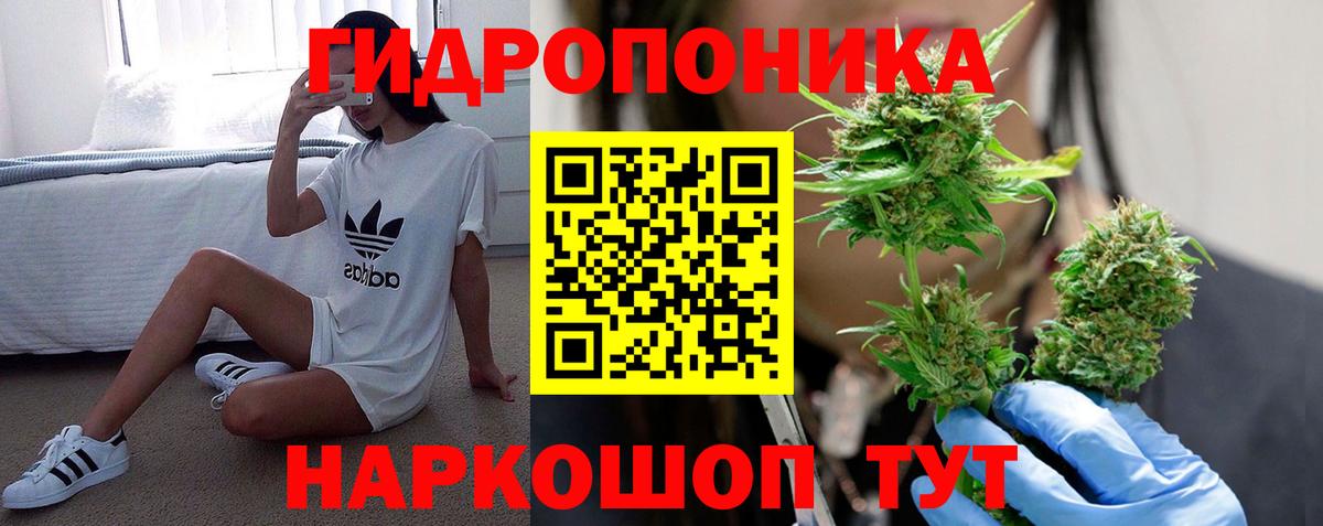 Марихуана конопля Углич